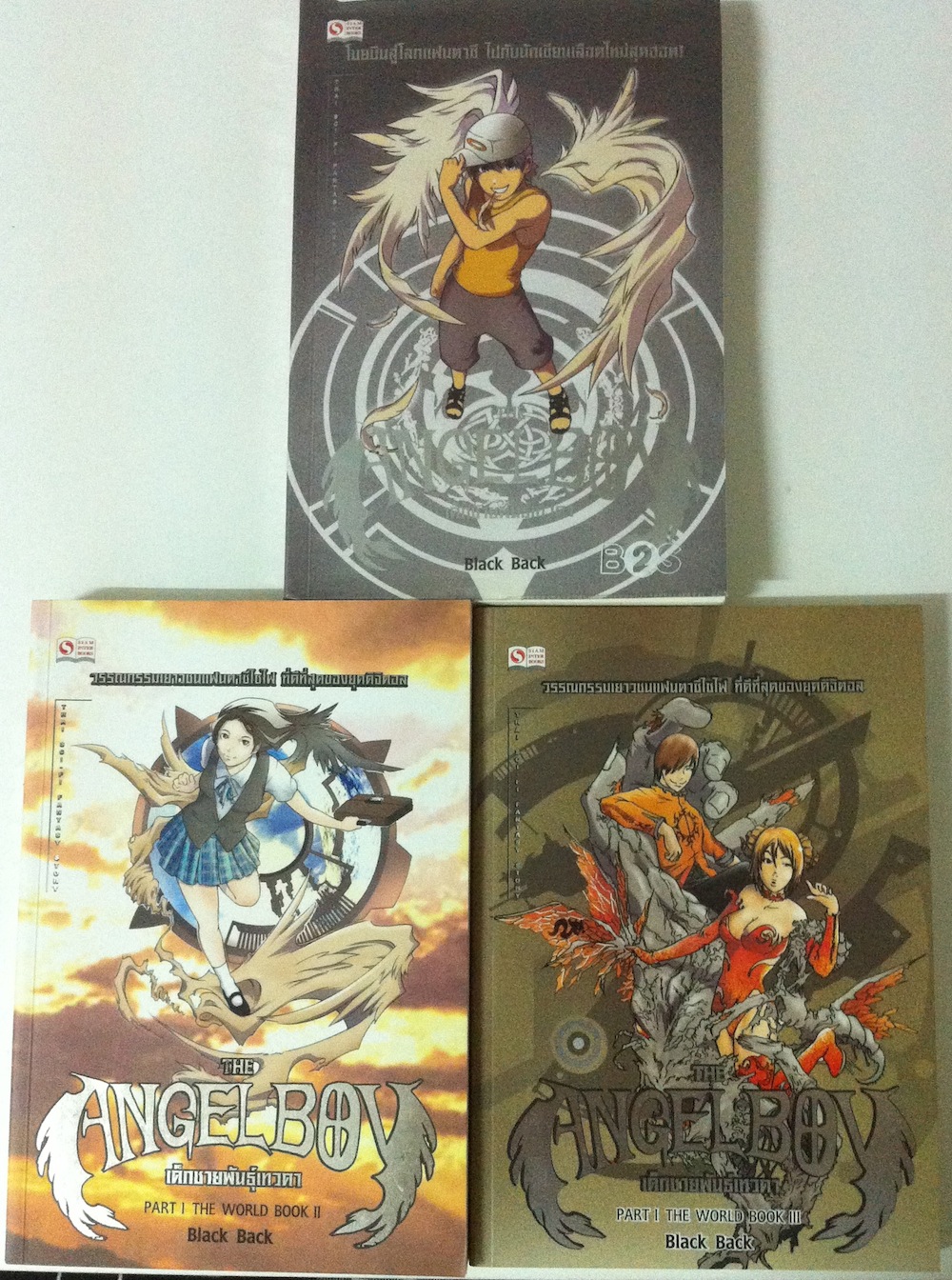 The Angel Boy เด็กชายพันธุ์เทวดา เล่ม 1-3