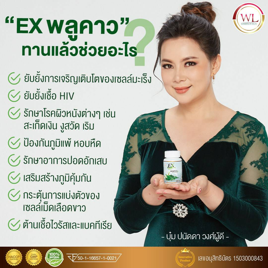 EX พลูคาว เสริมภูมิคุ้มกัน สู้ภัยโควิด-19 สมุนไพรพลูคาว ต้านไวรัส
