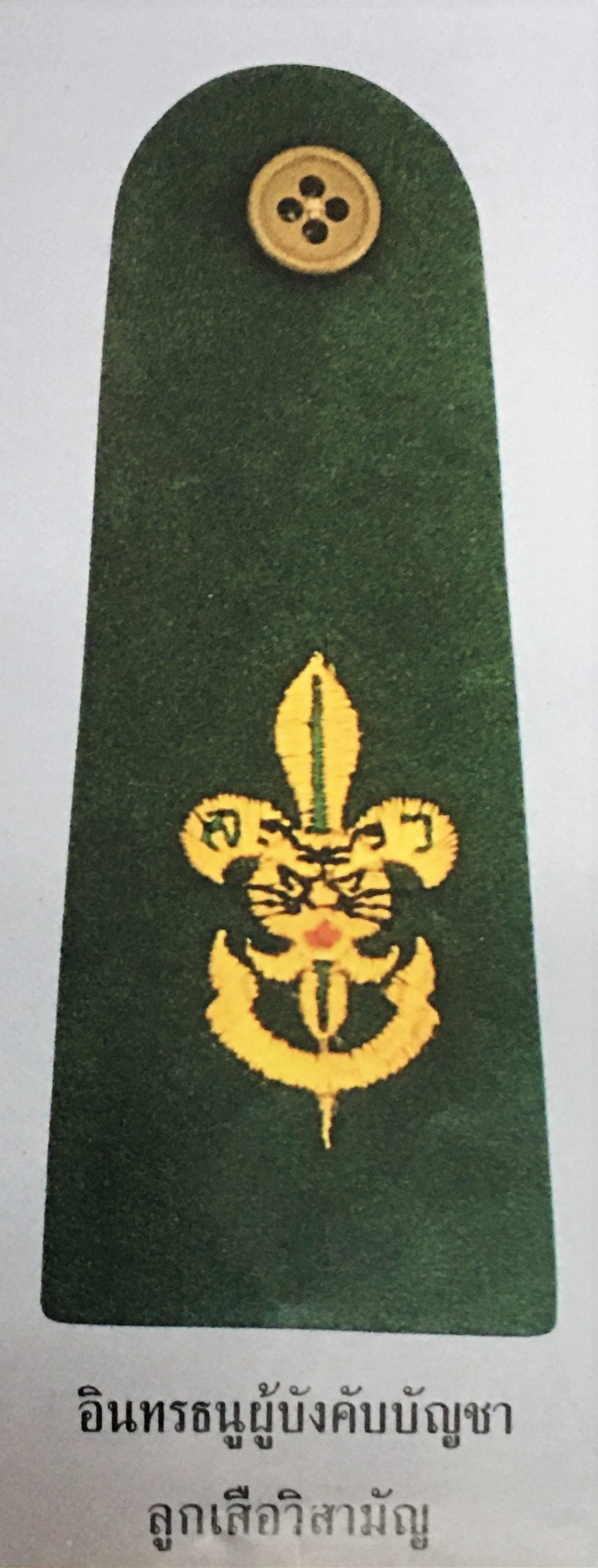 อินทรธนูผู้บังคับบัญชา ลูกเสือวิสามัญ