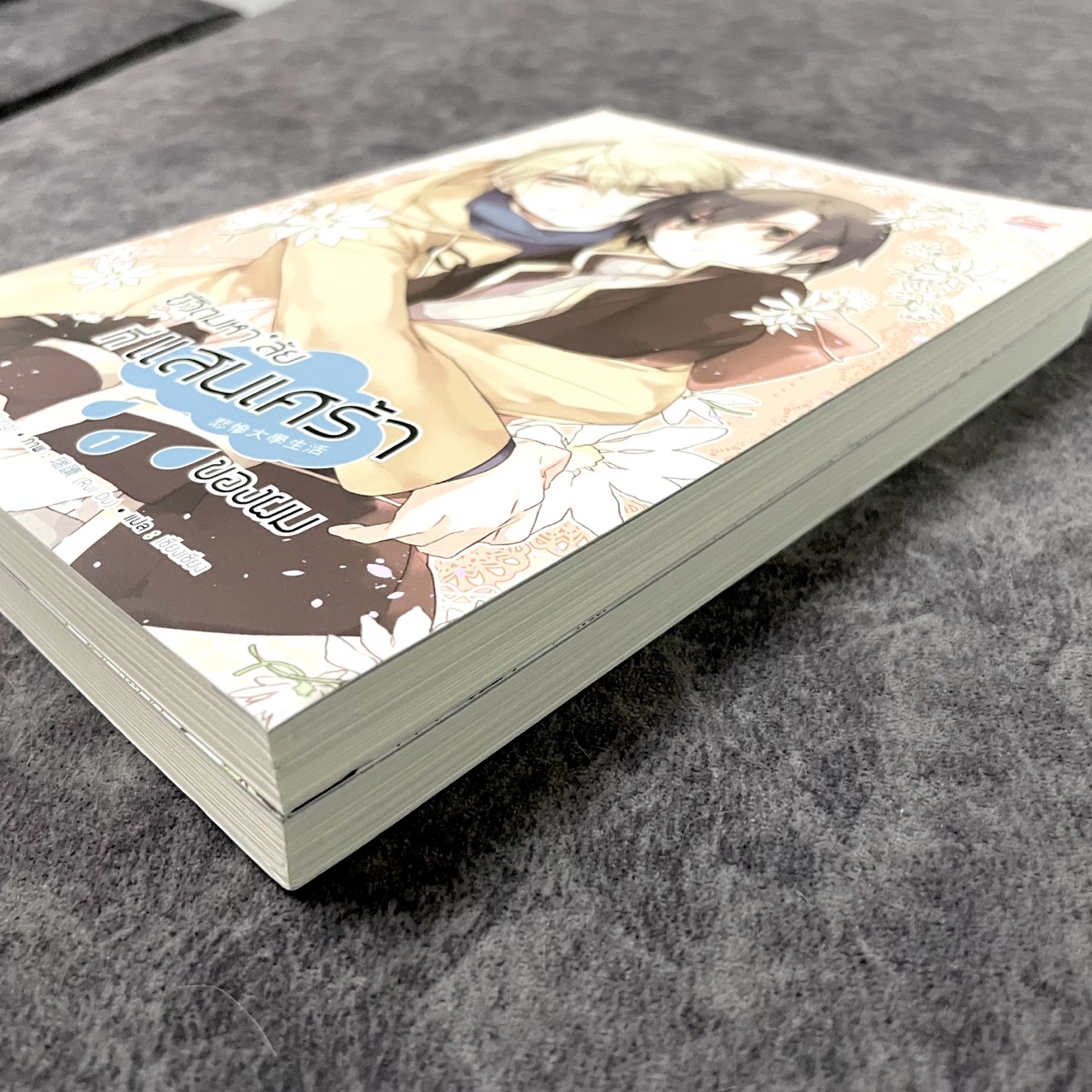 *มือสองขีดสัน* ชีวิตมหาลัยที่แสนเศร้าของผม เล่ม 1-2 (จบ)