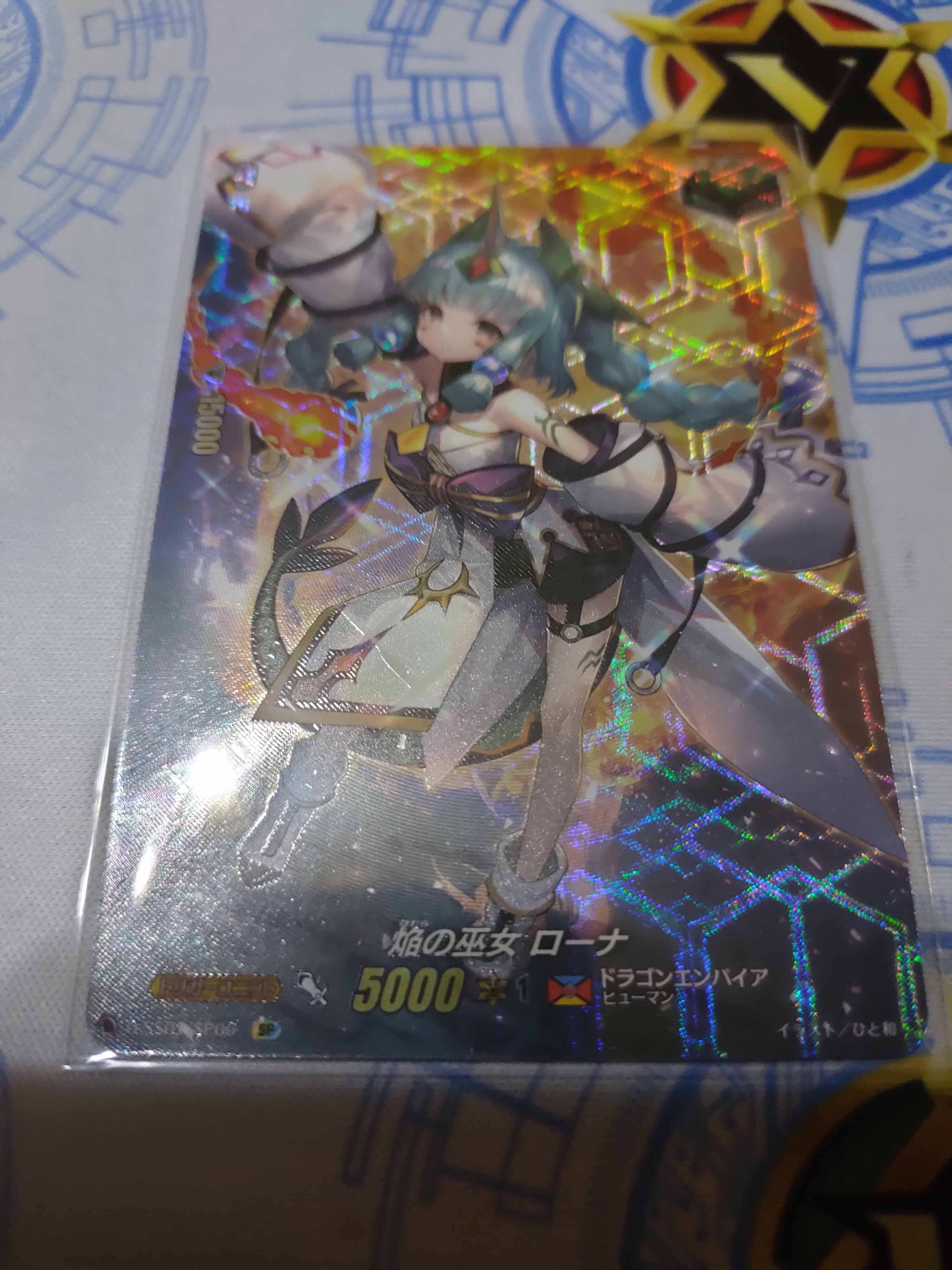 D-SS01/SP06