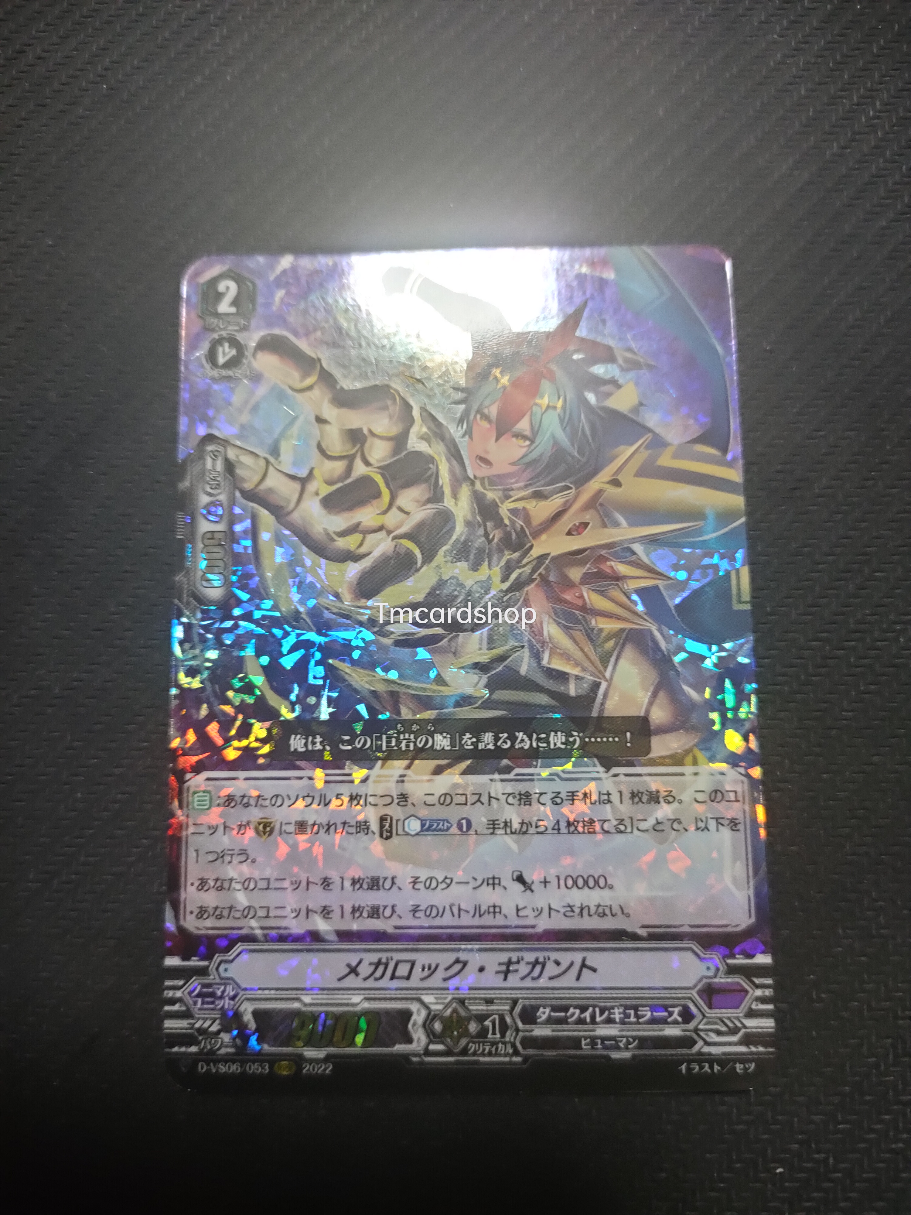 D-VS06-053 Megalock gigant