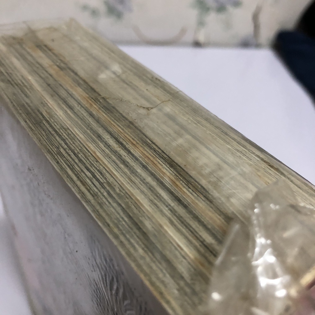 สาวน้อยจอมห้าวกับปีศาจจอมกวน เล่ม 1-5 (จบ)