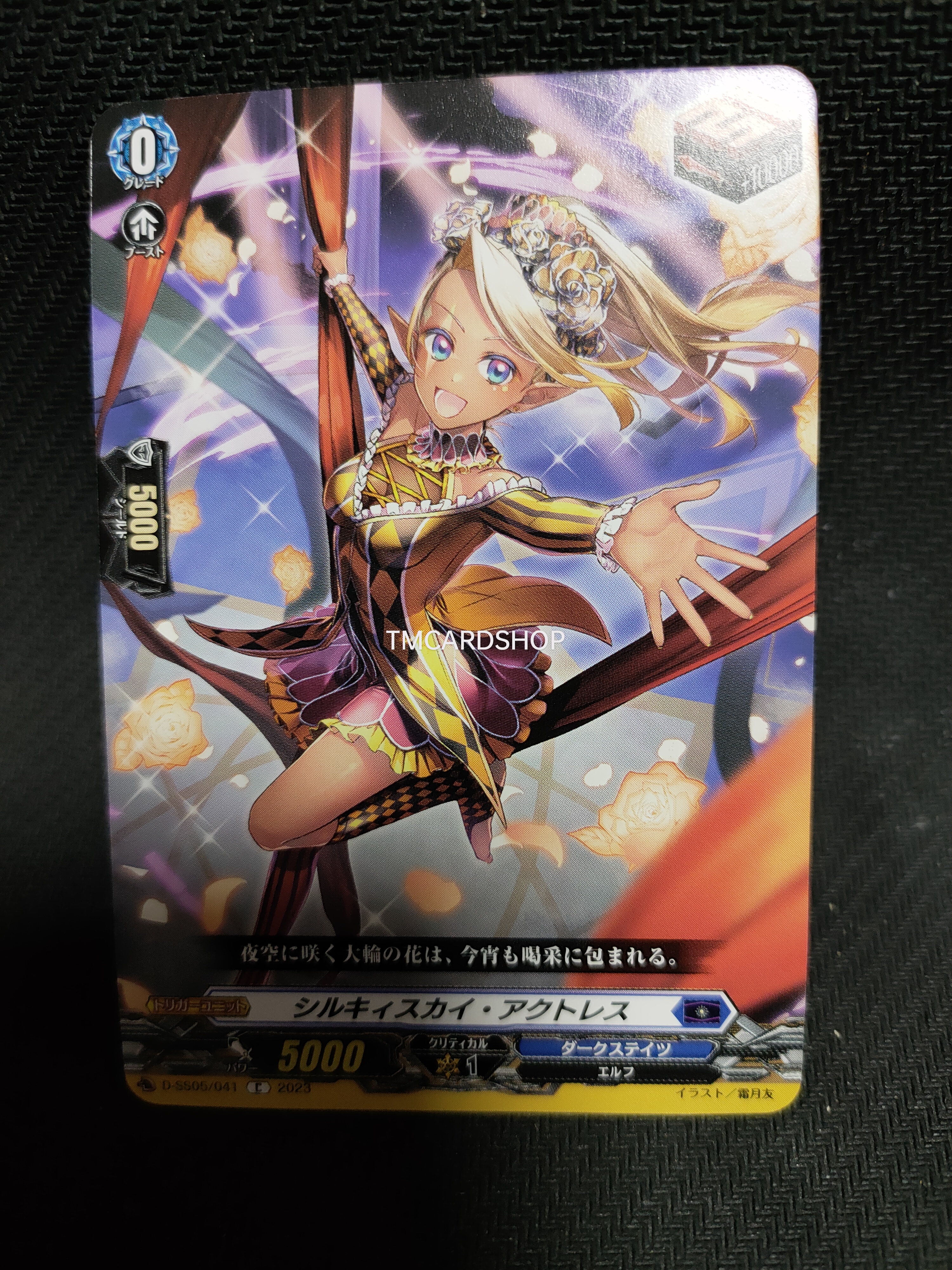D-SS05/041 Silky sky actress C