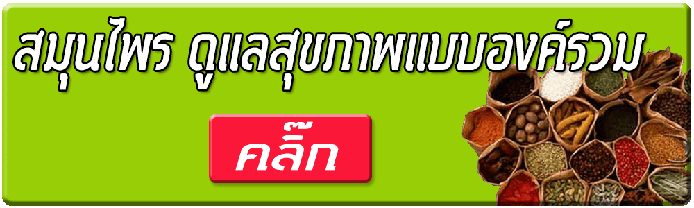 สมุนไพร ดูแลสุขภาพแบบองค์รวม