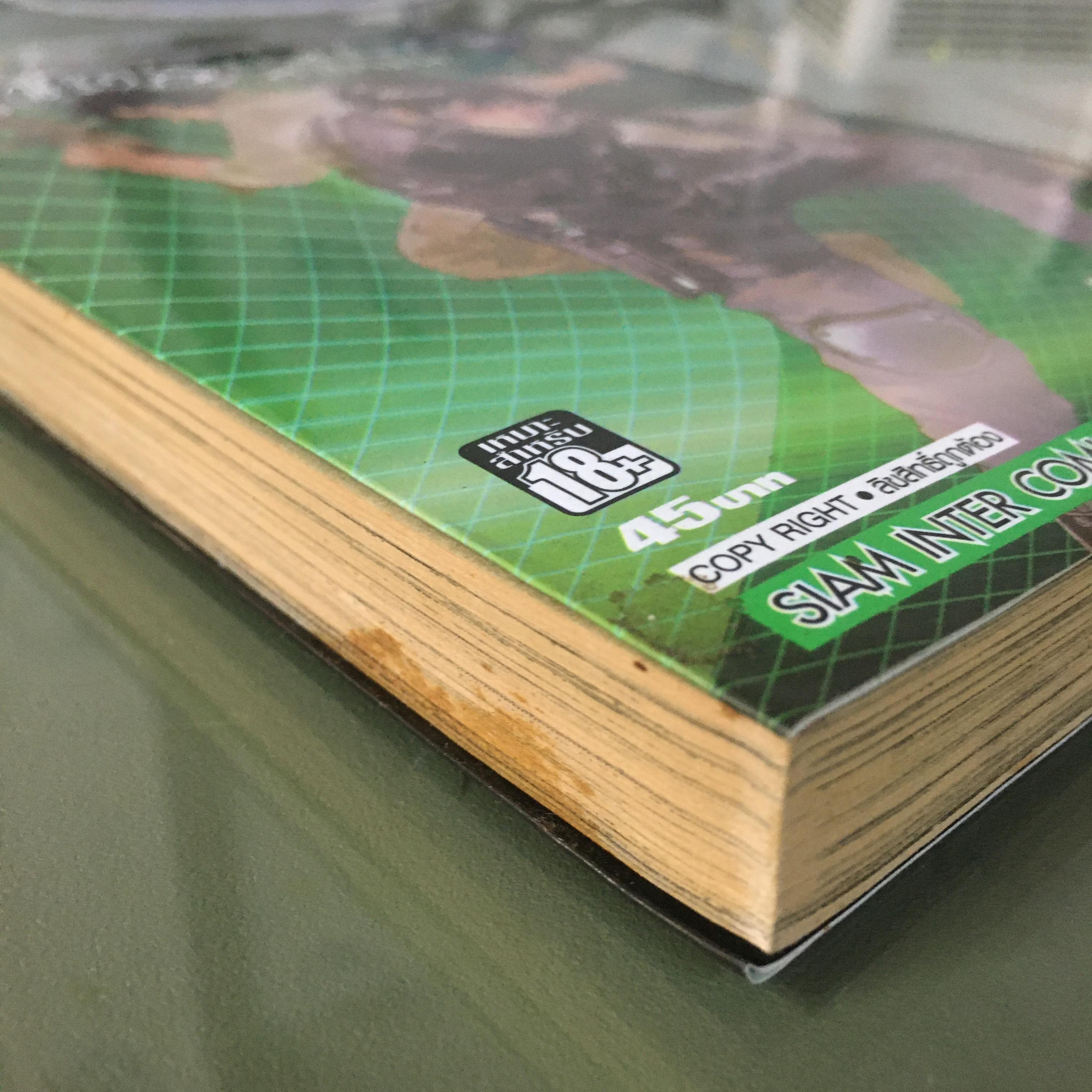 เนตรปริศนาล่าทรชน เล่ม 13