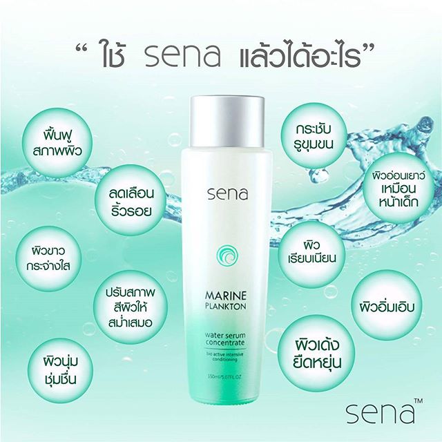 ผลการค้นหารูปภาพสำหรับ logo sena marine plankton