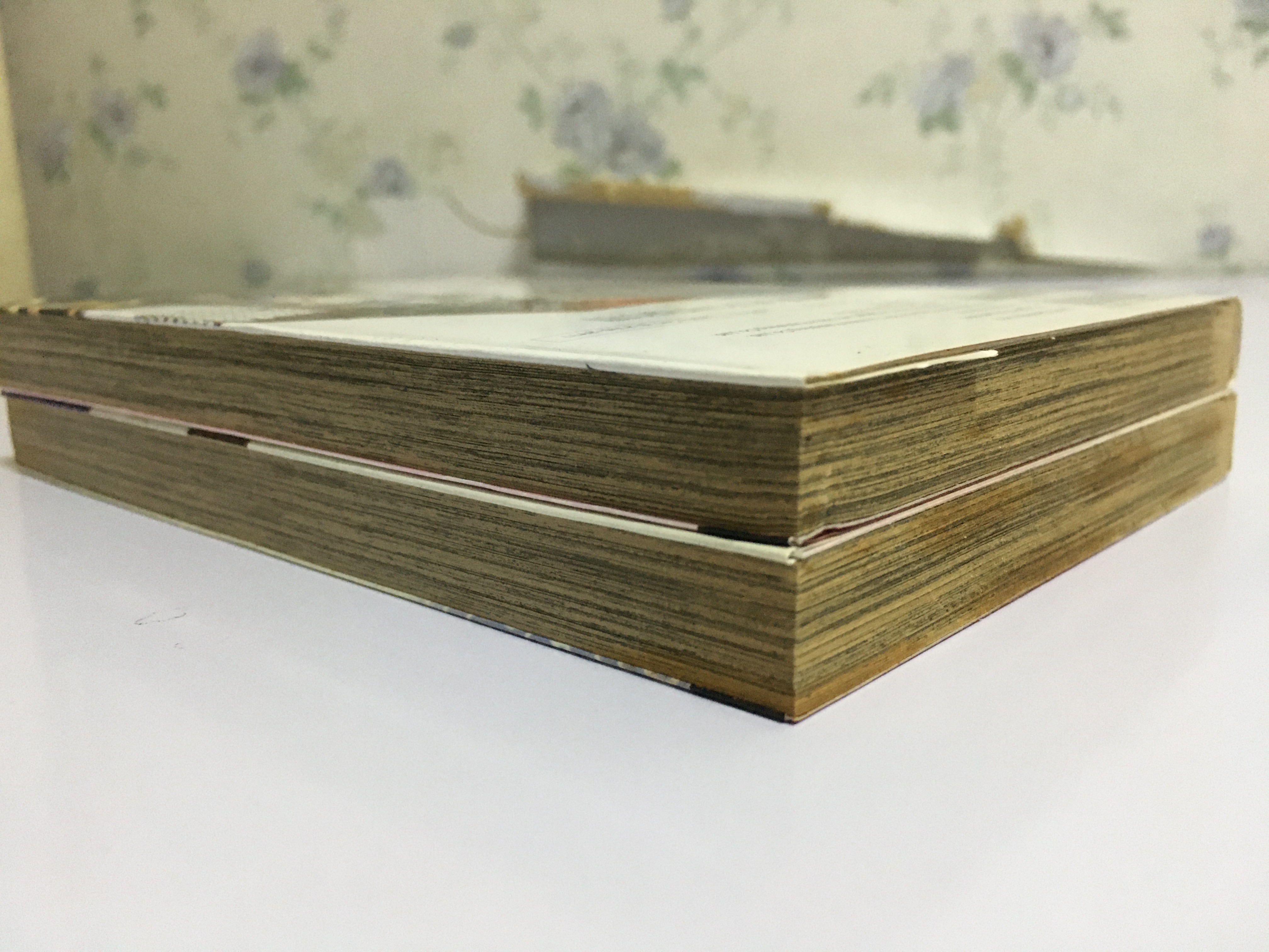 ลำนำรักในวังหลวง ตำนานราชสำนักรางวงศ์หมิง เล่ม 1-2