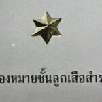 เครื่องหมายชั้นลูกเสือสำรอง