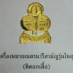 เครื่องหมายเนตรนารีสามัญรุ่นใหญ่ (ติดอกเสื้อ)