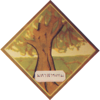 ผ้าพันคอสีชมพู จังหวัดมหาสารคาม
