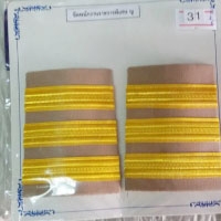 ขีดพนักงานราชการพิเศษหญิง
