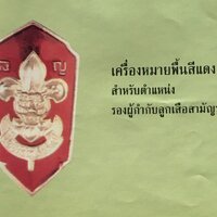 เครื่องหมายพื้นสีแดง (รองผู้กำกับลูกเสือสามัญรุ่นใหญ่)