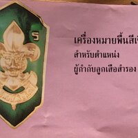 เครื่องหมายพื้นสีเขียว (ผู้กำกับลูกเสือสำรอง)