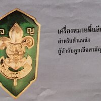 เครื่องหมายพื้นสีเขียว (ผู้กำกับลูกเสือสามัญรุ่นใหญ่)
