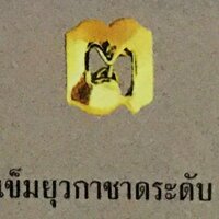 เข็มยุวะ ระดับ 3