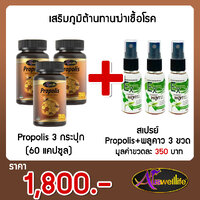Propolis 3 กระปุก + สเปรย์ Propolis+พลูคาว 3 ขวด