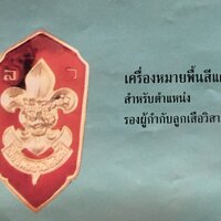เครื่องหมายพื้นสีแดง (รองผู้กำกับลูกเสือวิสามัญ)
