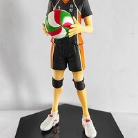 Hinata vol.1 แกะซีล