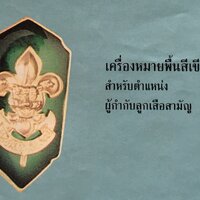 เครื่องหมายพื้นสีเขียว (ผู้กำกับลูกเสือสามัญ)