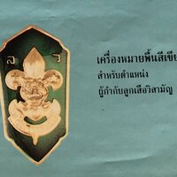 เครื่องหมายพื้นสีเขียว (ผู้กำกับลูกเสือวิสามัญ)
