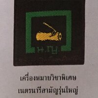 วิชาพิทักษ์ป่า (เนตรนารีสามัญรุ่นใหญ่)