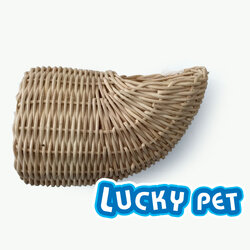 รังนก หวาย