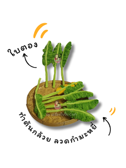 ลวด กำ มะ หยี่