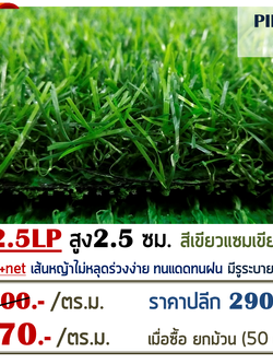 หญ้าเทียม รุ่น 2.5LP สูง 2.5 ซม.สีเขียว-เขียว