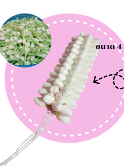 มาลัยคล้องผม