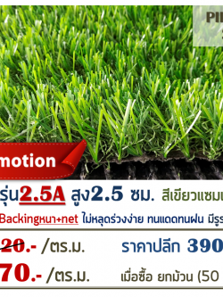 หญ้าเทียม รุ่น 2.5A สูง 2.5 ซม. สีเขียว-เขียว