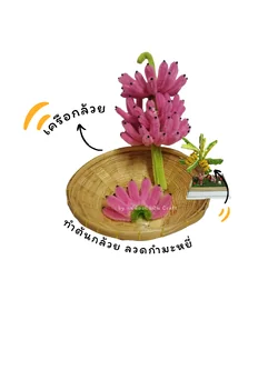 ลวด กำ มะ หยี่