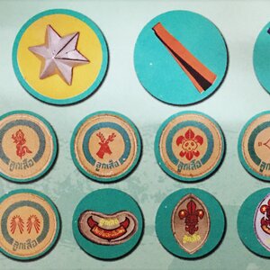 เครื่องหมายลูกเสือสามัญ