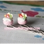 Minicake [strawberry]