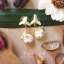 Pupa gang Thai dessert : Kleeb lumduan (กลีบลำดวน)