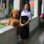 เสื้อเชิ๊ตนักเรียนหญิง ม.ปลาย แขนพอง โรงเรียนรัฐบาล