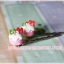 Minicake [kitty]