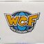 WCF MEGA (Special!!) - Thousand Sunny