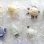 [ขายยกเซต 8 ตัว] Moyashimon Bacteria Theater Mini Figure