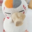 Ichiban Kuji Natsume Yuujinchou Tribute Gallery - Nyanko-sensei Coaster (ตุ๊กตาพร้อมที่รองแก้ว)